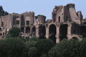 Veduta del Palatino dal Circo Massimo da Roman